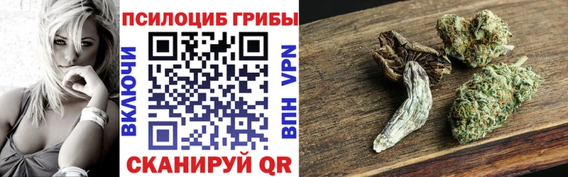 где купить наркотик  Безенчук  МЕГА ссылка  Галлюциногенные грибы MAGIC MUSHROOMS 